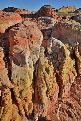 Abstract Expressionism - Colorful Canyon in Valley of Fire by Ray Mathis
