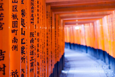 Just Desserts Rights Managed Images - Fushimi Inari Taisha Shrine in Kyoto, Japan Royalty-Free Image by Mariusz Prusaczyk