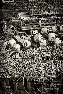 Vintage Buick Rights Managed Images - Lobster traps 1 Royalty-Free Image by Elena Elisseeva