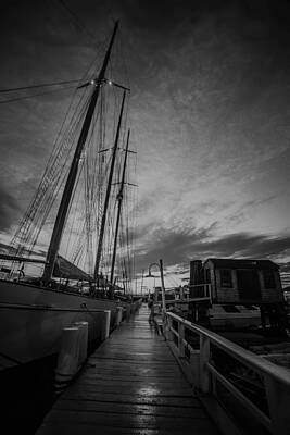 University Icons - Newport Rhode Island Harbor With Tall Ships At Sunset by Alex Grichenko