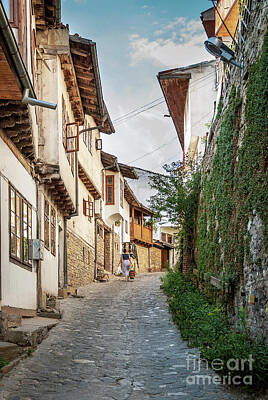 Bear Paintings - Old Town Street And Houses View Of Veliko Tarnovo Bulgaria by JM Travel Photography