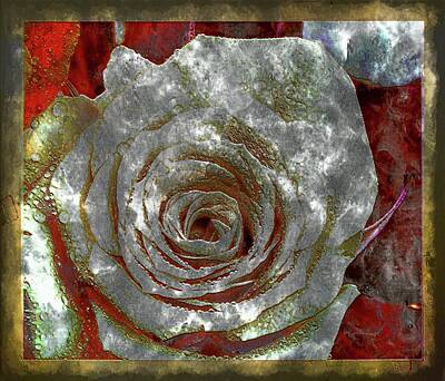 Roses Digital Art - Red rose macro by Robert Chlopas