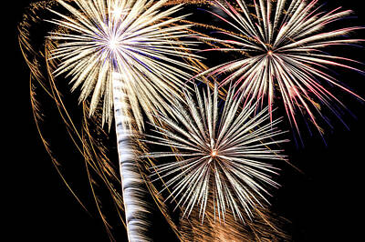 Wine Down Rights Managed Images - 4th of July Fireworks Royalty-Free Image by Joni Eskridge