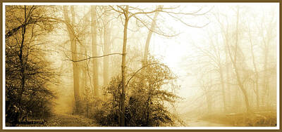 Outdoor Graphic Tees - Foggy Morning Woods Montgomery County Pennsylvania by A Macarthur Gurmankin