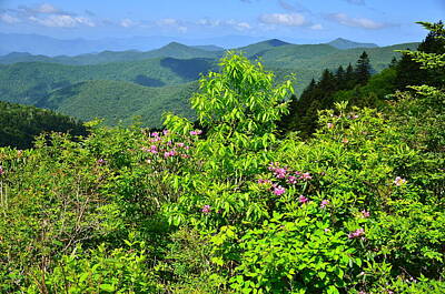 Kitchen Mark Rogan - Great Balsam Mountains on the Blue Ridge Parkway by Michael Weeks