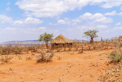 Harp Instruments - Rural landscape in Ethiopia by Marek Poplawski