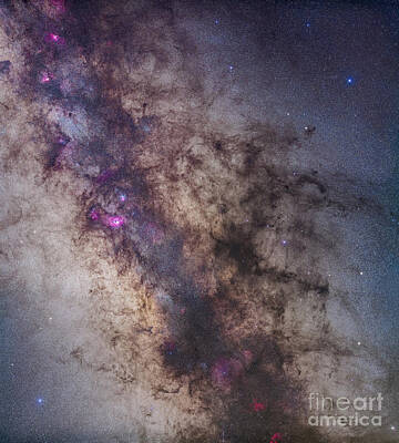 Reptiles Photo Royalty Free Images - The Center Of The Milky Way Royalty-Free Image by Alan Dyer