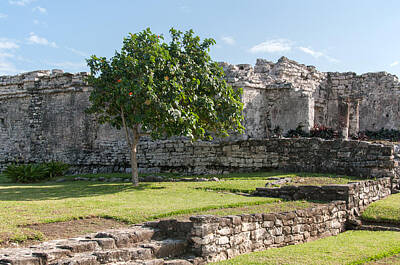 Fruit Photography Royalty Free Images - Tulum Ruins Royalty-Free Image by Carol Ailles