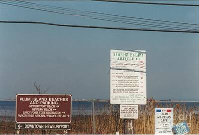 Frog Photography - #585 24 Plum Island Signs Marsh Grass by Robin Lee Mccarthy Photography