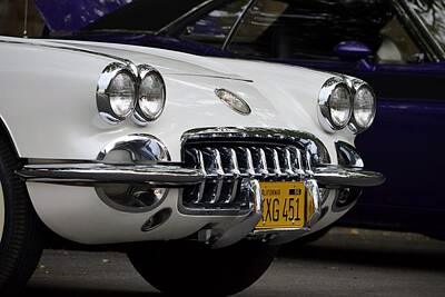 Western Buffalo Royalty Free Images - Classic Corvette Royalty-Free Image by Dean Ferreira