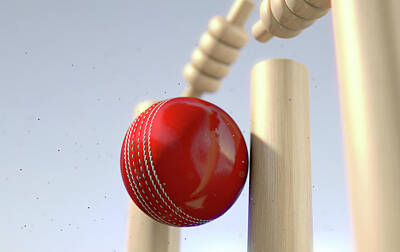 Sultry Plants - Cricket Ball Hitting Wickets by Allan Swart