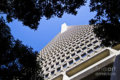 Abstract Trees Mandy Budan - San Francisco Transamerica Pyramid Building by ELITE IMAGE photography By Chad McDermott