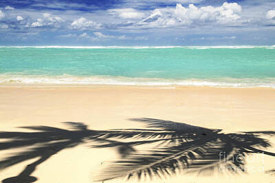 Rights Managed Images - Shadows on tropical beach Royalty-Free Image by Elena Elisseeva