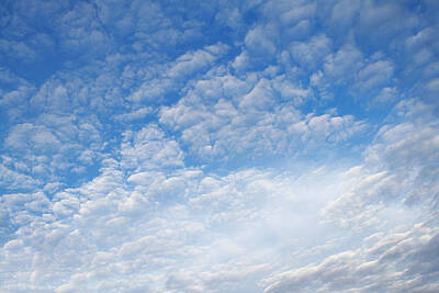 Frog Photography - Clouds by Les Cunliffe