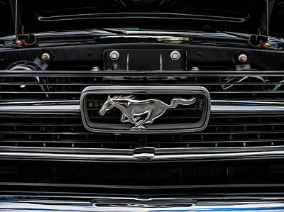 Bringing The Outdoors In - 66 Mustang Grille by Keith Smith