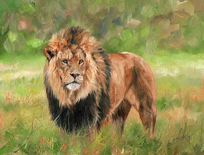 Animals Paintings - Lion by David Stribbling
