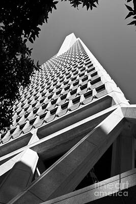 Graphic Trees Royalty Free Images - San Francisco Transamerica Pyramid Building Royalty-Free Image by ELITE IMAGE photography By Chad McDermott