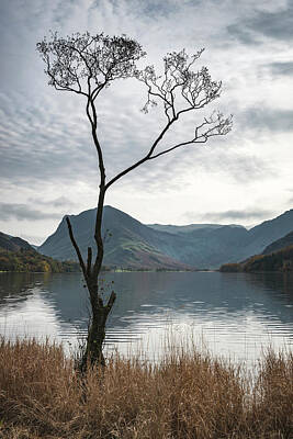 Gaugin - Beautiful Autumn Fall landscape image of Lake Buttermere in Lake by Matthew Gibson