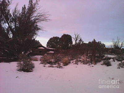 Staff Picks Rosemary Obrien - Snowy Desert Landscape by Frederick Holiday