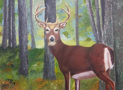 Mammals Painting Rights Managed Images - A Buck in the Woods Royalty-Free Image by Judy Jones