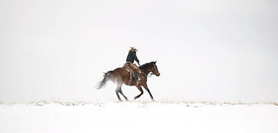 Animals Photo Rights Managed Images - A Chilly Ride Royalty-Free Image by Pamela Steege