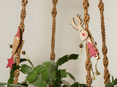 Modern Man Air Travel - A clothespin with an elk on a knotted hanging basket at christma by Stefan Rotter