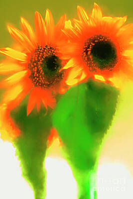 Recently Sold - Abstract Flowers Rights Managed Images - A Couple Of Sunflowers. Royalty-Free Image by Alexander Vinogradov