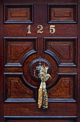 For The Cat Person Royalty Free Images - A Door in a Wealthy Neighborhood Royalty-Free Image by Robert Ullmann