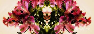 Florals Mixed Media - A Freesia Reflection by Clare Bevan