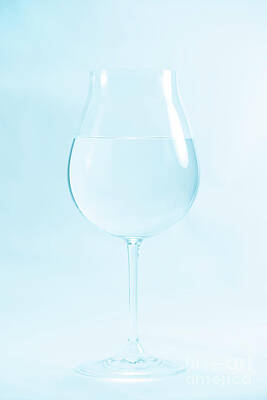 Wine Photos - A Glass Of Water by Masako Metz