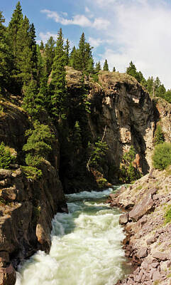 Nfl Team Signs - A Henson Creek Near Lake City, CO, USA, Shot by Derrick Neill
