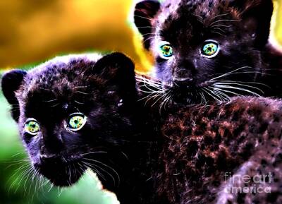 Road Trip Royalty Free Images - A Pair of Panther Cubs Royalty-Free Image by Wbk
