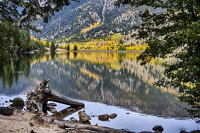 James Bo Insogna Royalty Free Images - A Peek Into Cottonwood Lake Royalty-Free Image by James BO Insogna