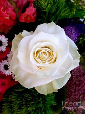 Vintage Vinyl - A rose in the flowers by Wonju Hulse