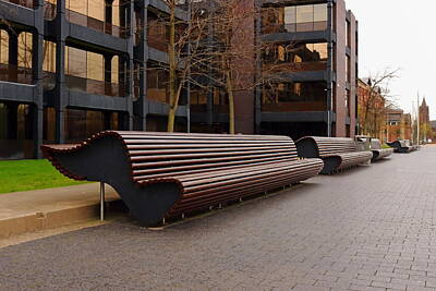 Moody Trees - A Row of Modern Seats by Jeff Townsend