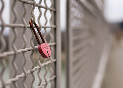 1-war Is Hell - A rusty red love padlock locked to a bridge by Stefan Rotter