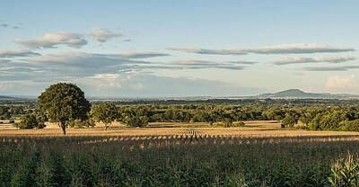 Food And Beverage Royalty-Free and Rights-Managed Images - A Shropshire Evening by Hazy Apple