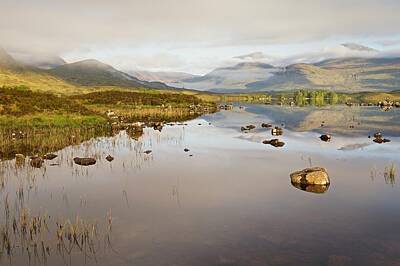 Christian Paintings Greg Olsen Royalty Free Images - A Summers morning on Rannoch Moor Royalty-Free Image by Stephen Taylor