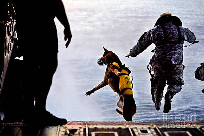 Animals Photos - A U.s. Soldier And His Military Working by Stocktrek Images