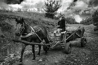 Autumn Leaves - A Villager With His Horse and Cart, Ukraine by Yuri Lev