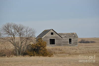 Rustic Cabin - abandend farm house North Dakota by Brandon Finister