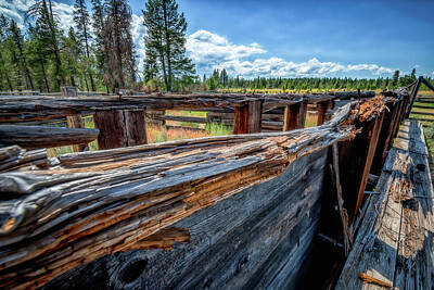 Summer Trends 18 - Abandoned in Lassen by Michele James