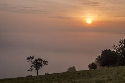 Food And Beverage Royalty-Free and Rights-Managed Images - Above the Mist by Hazy Apple
