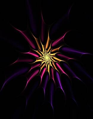 Florals Digital Art - Abstract Floral 02-12-11 by David Lane