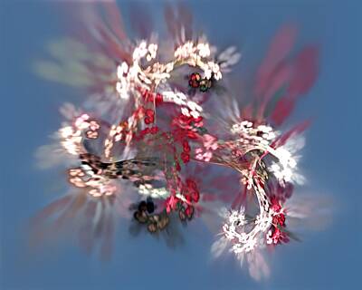 Florals Digital Art - Abstract Floral Fantasy  by David Lane