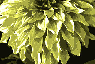 Abstract Flowers Rights Managed Images - Abstract Flower 5 Royalty-Free Image by Sumit Mehndiratta