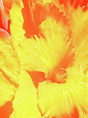 Abstract Flowers Royalty-Free and Rights-Managed Images - Abstract flower by Nat Air Craft