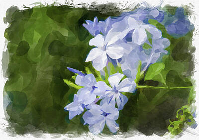 Abstract Flowers Royalty Free Images - Abstract Flower Watercolor II Royalty-Free Image by Ricky Barnard