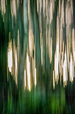 Modern Man Classic London - Abstract Forest 1 by Spikey Mouse Photography
