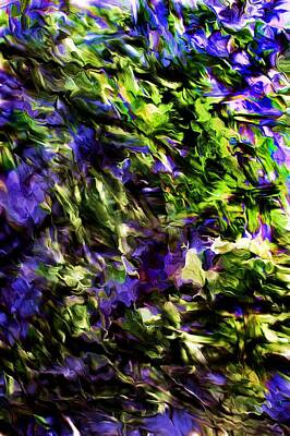 Storm Clouds Colt Forney Royalty Free Images - Abstract Purple field Royalty-Free Image by David Lane